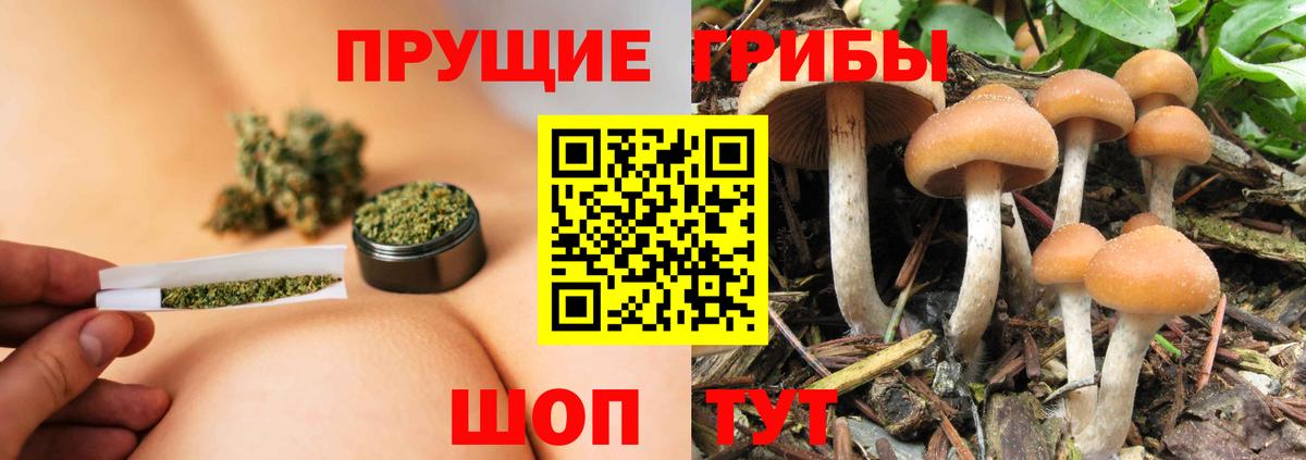 Галлюциногенные грибы Psilocybine cubensis  Вход с VPN  Лангепас  Галлюциногенные грибы Psilocybe 
